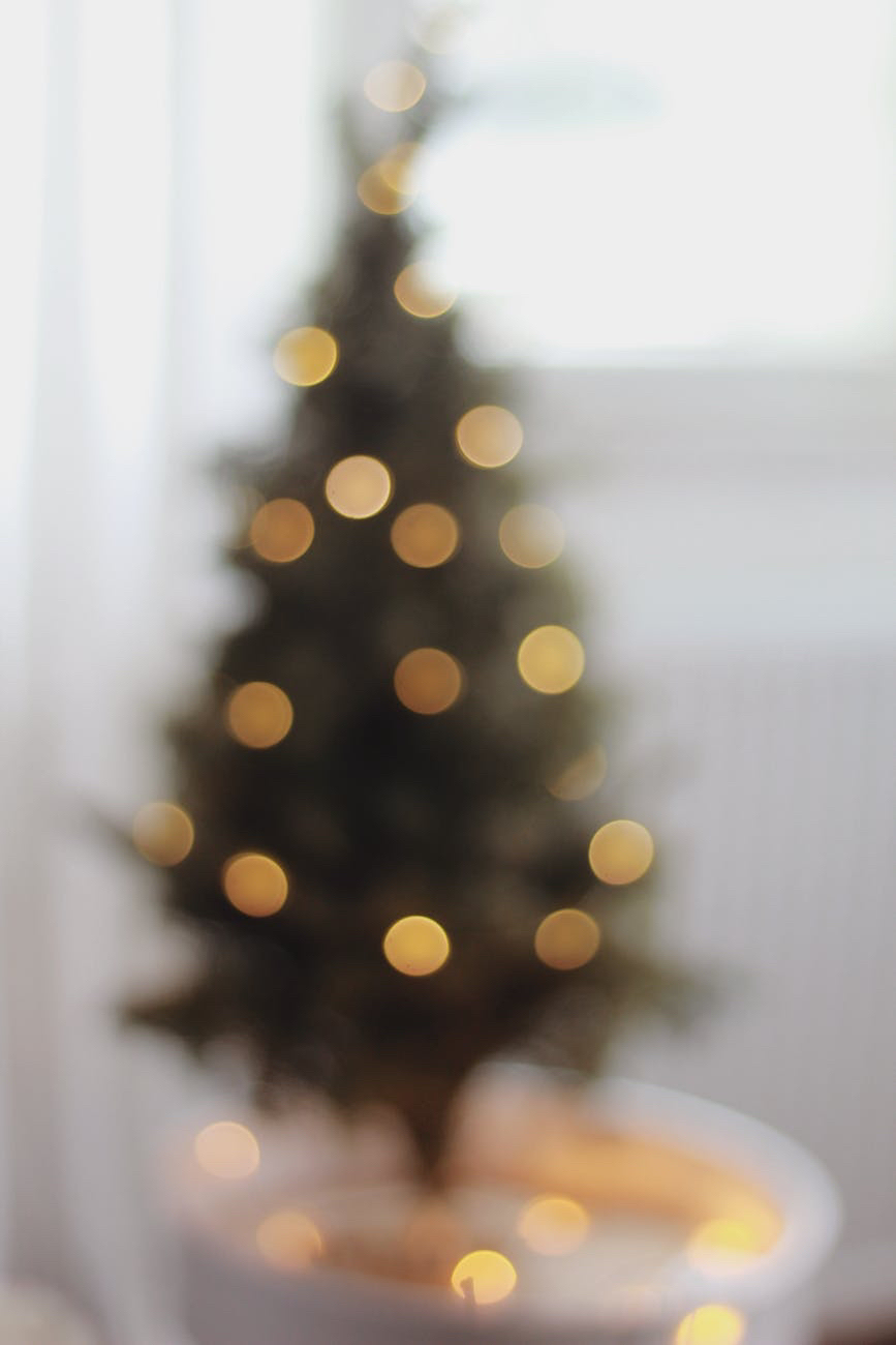 Tangled Christmas Lights – Part 2